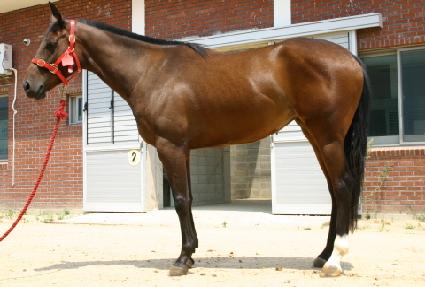 �����ҳ� ����