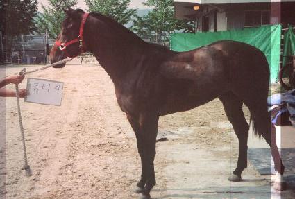 �պ�ġ ����