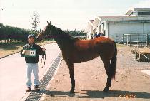 �뷱�� (BALANCE) ����