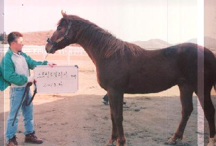 ������ ����