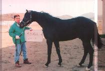 �����ѿ��� (YEONGWONHAN UJEONG) ����