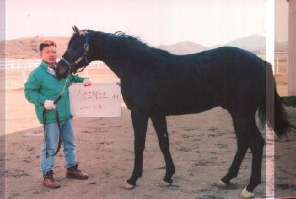 �����ѿ��� ����