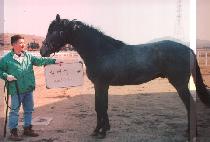 ��Ʈ�»��� (DONGTEUNEUNSAEBYUK) ����