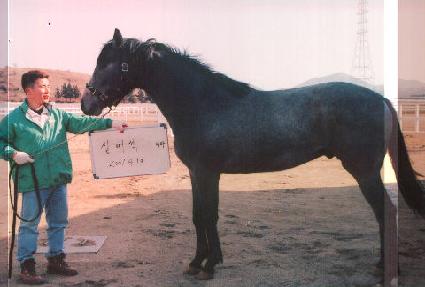 ��Ʈ�»��� ����