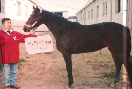 �Ҹ��� ����