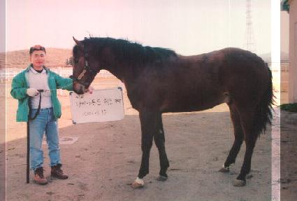 ���ϵ�ī�� ����