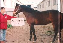 �߹����� (YAMUJIGE) ����