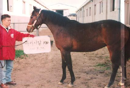 �߹����� ����