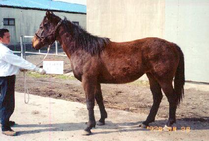 õ��� ����