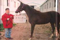 ư�� (TEUNSIL) ����