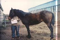 ����� (YOSULSAEM) ����