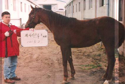 ����ŸƮ ����