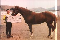 �ǻ�� (SILSANGSA) ����