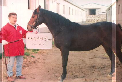 �Ѱᰰ�� ����