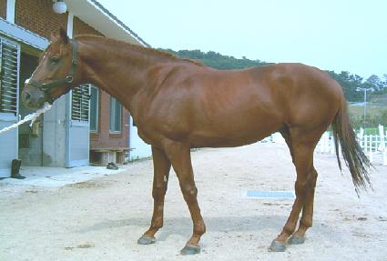 �ǹٸ� ����