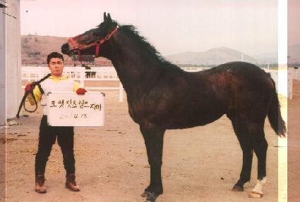 ���ǳ��� ����