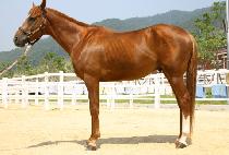 ���µ�ǳ (NAKSEUNG DOLPUNG) ����