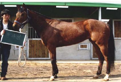 ǮŸ�� ����