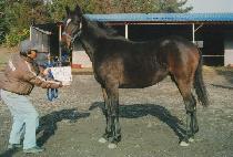 �÷��̸���Ŀ (PLAY MAKER) ����