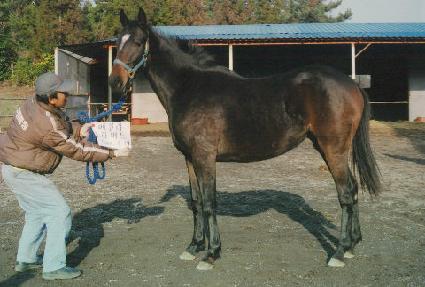 �÷��̸���Ŀ ����