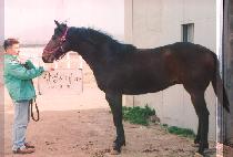 �����Ƹ��� (JEONGSEON ARIRANG) ����