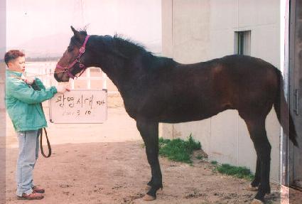 �����Ƹ��� ����