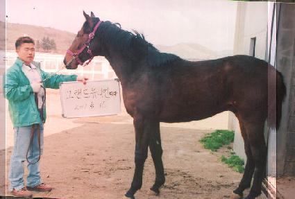 Ư�� ����