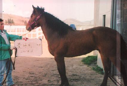 ���̵�ŷ ����