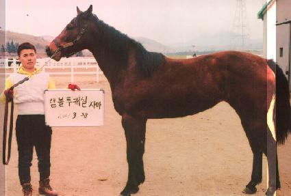 ȭ�� ����