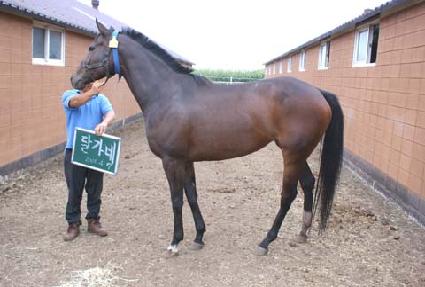 �ް��� ����