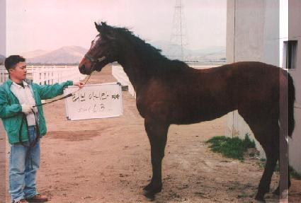 ���� ����