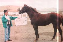 ��¿��� (USEUNG YEYAK) ����