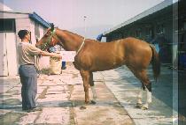 �Ͻ�Ȩ (SOCKSHOME) ����