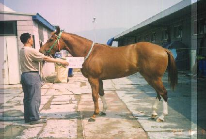 �Ͻ�Ȩ ����