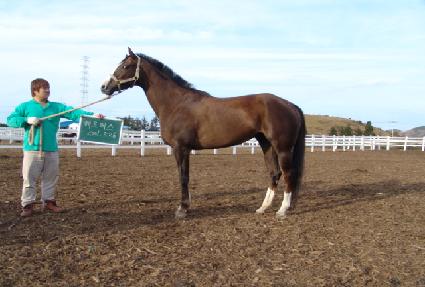 �츣�޽� ����