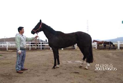 �������� ����