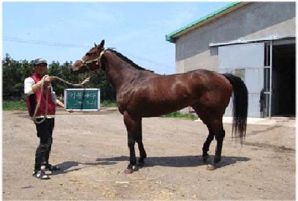 ��ݳ��� ����