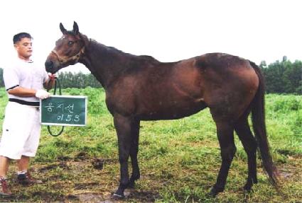 ������ ����