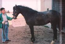 õ���� (CHEONMANNYEON) ����