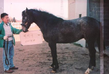 õ���� ����