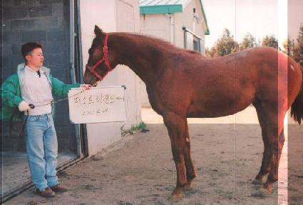 ��ī����ũ ����