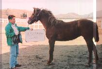 ������ (DAEHYEONGMYEONG) ����