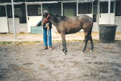 ���� ����