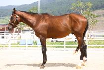 ��������Ʈ (DOUBLE DATE) ����