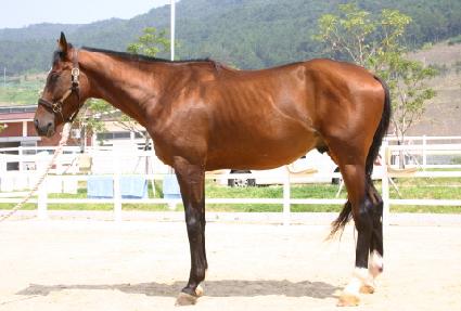 ��������Ʈ ����