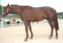 ���һ� (MANBULSAN) ����