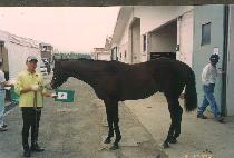 ��õ (NEOCHEON) ����