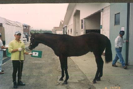 ��õ ����