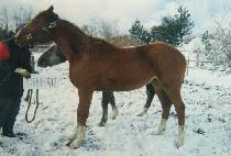 �۰� (SONGGYEONG) ����