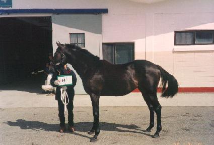 �������� ����